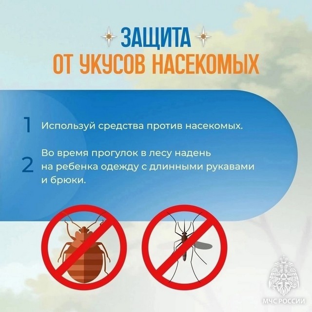 foto 2025 07 11 09 05 6